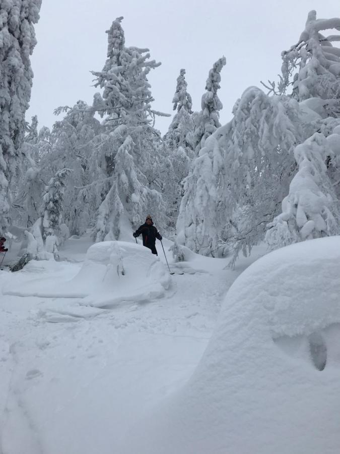 Тіна Hotel Slavske Eksteriør billede